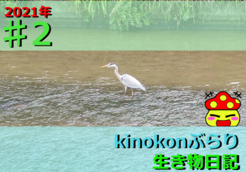 Thumbnail of post image 012